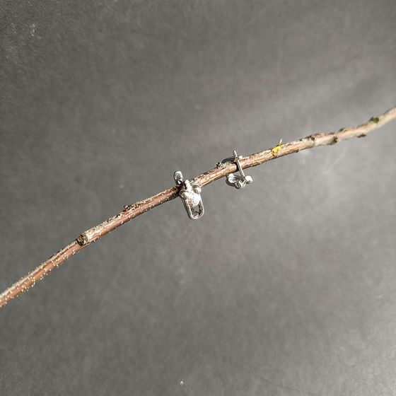 Срібні сережки з фіанітами