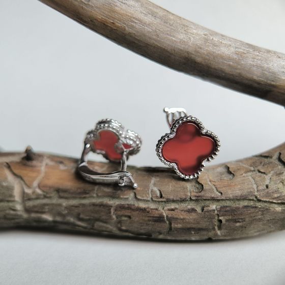 Silver earrings with agate
