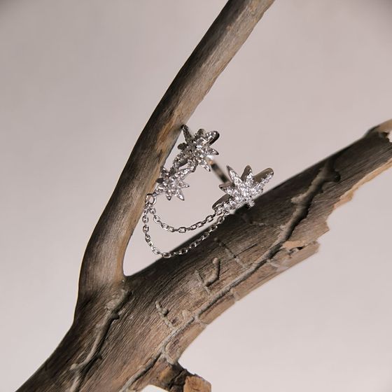 Silver Ring with Fianites