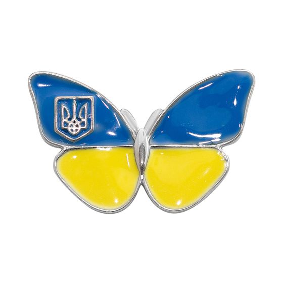 Срібна брошка з емаллю