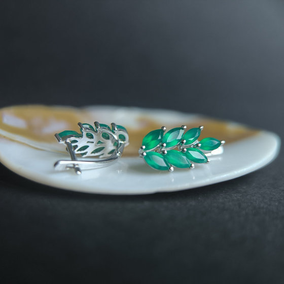Silver Earrings with Agate (2.495 ct)
