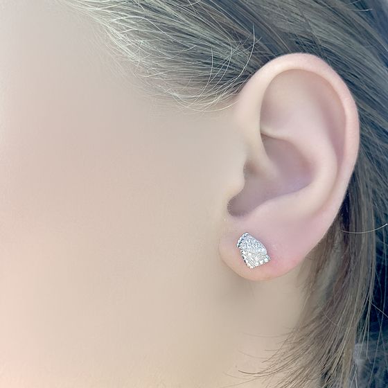 Срібні сережки з емаллю