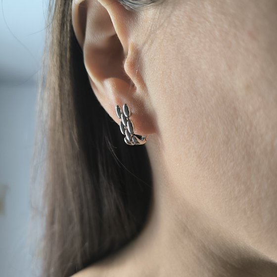 Silver earrings without stones