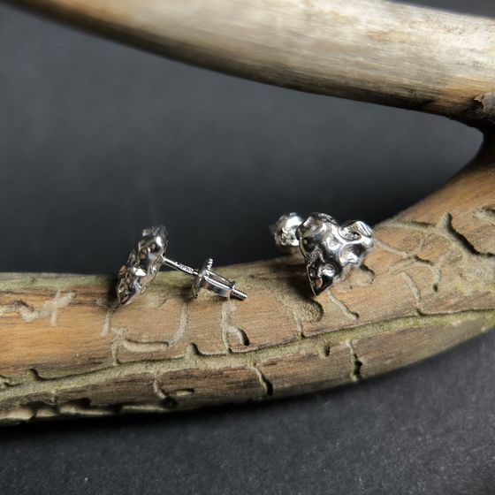 Срібні сережки без каменів