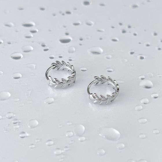 Silver earrings without stones