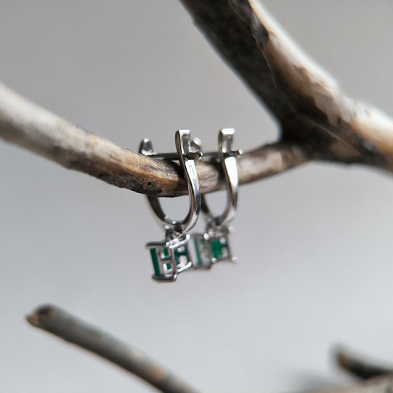 Срібні сережки з агатом 1.167ct